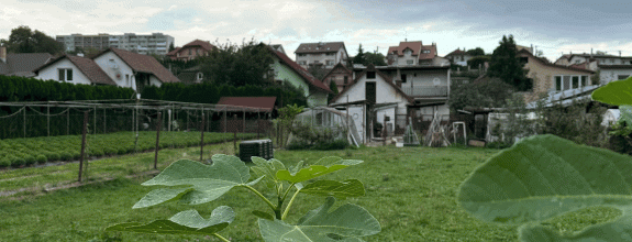 Rodinný dom s lukratívne veľkým pozemkom 1200m2, Myslava, Košice